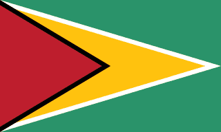 Guyanaflag